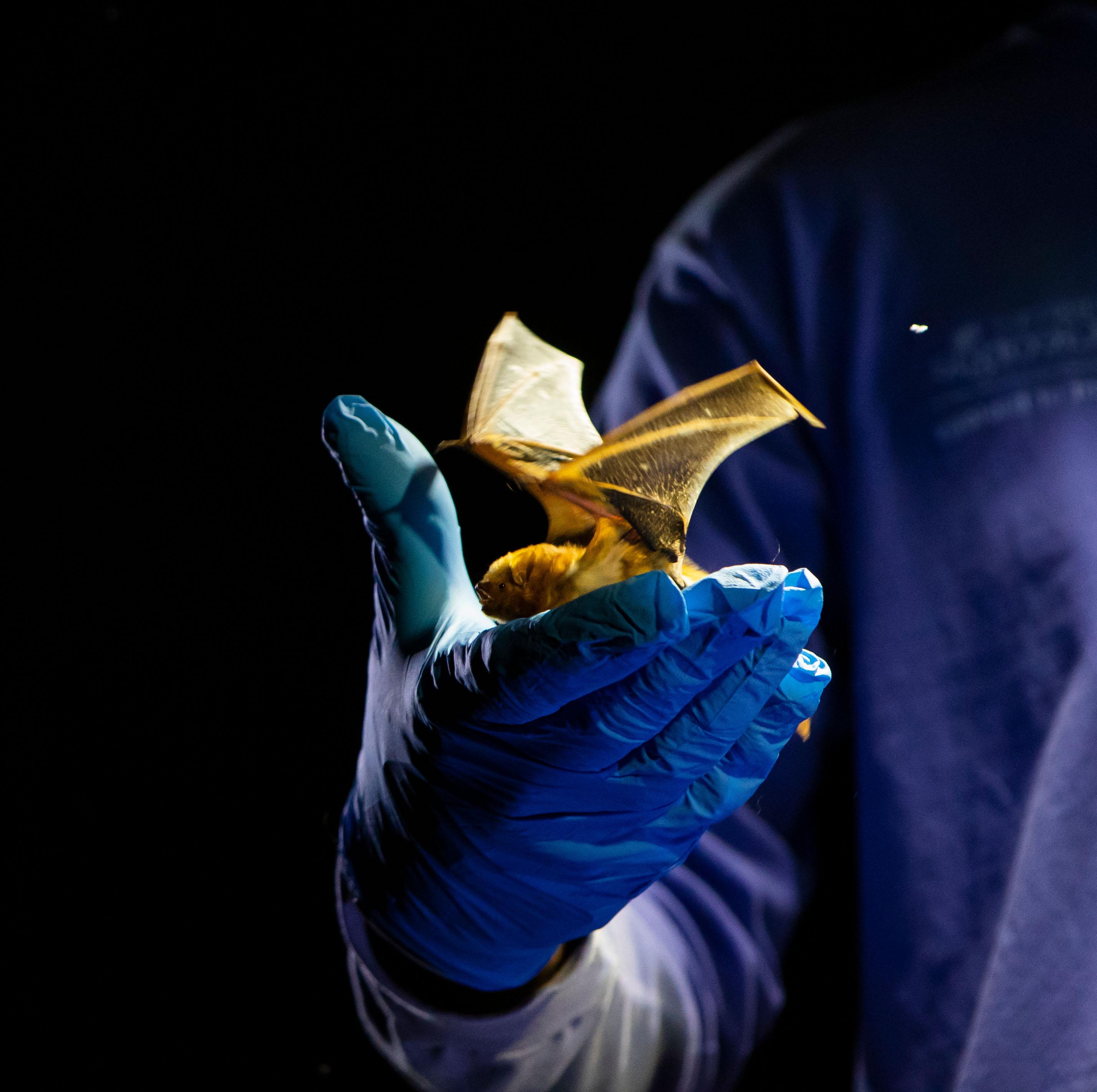 Student holding a bat